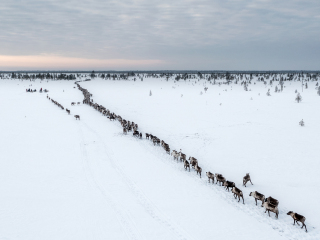 Break during transfer to the new camp - Russia