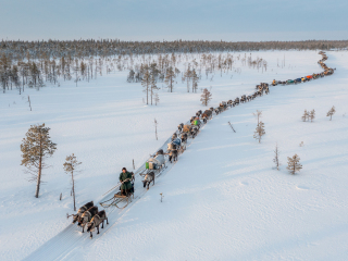 Nenets caravan on the move I - Russia