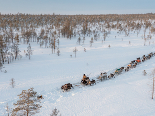 Nenets caravan on the move III - Russia