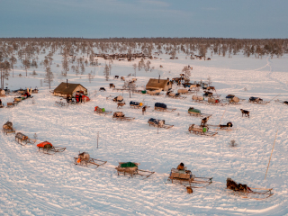 Morning in Nenets camp - Russia