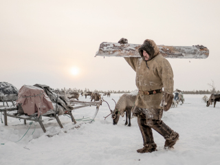 Arkadij prepares firewood - Russia