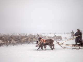 Arkadij and Kolja riding the herd - Russia