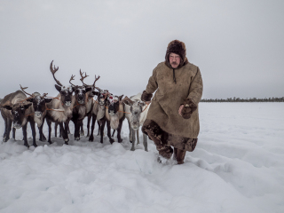 Arkadij and his reindeers - Russia