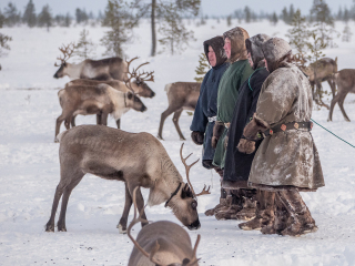 The Kanyuk brothers control the herds - Russia