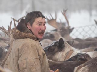 Arkadij in the corral - Russia