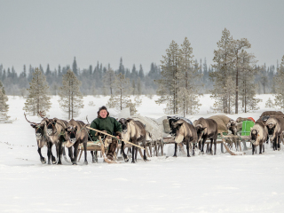 Semjon on the way to the new camp place - Russia