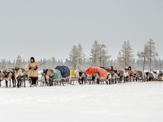 Women from the 8th Brigade on their way to the new camp - Russia