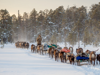 Long journey - Russia