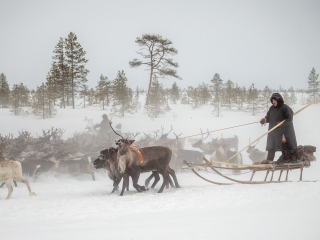 Arkadij and Kostya are riding the herd - Russia