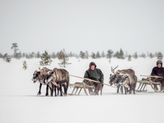 Semjon and Kolya on travel - Russia