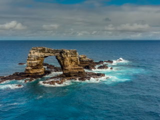 Darwin's Arch