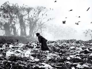 Life on garbage dump yard