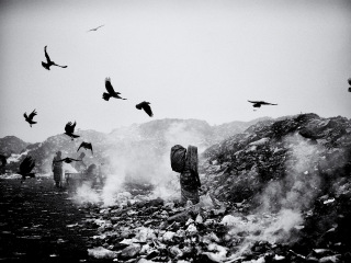 Life on garbage dump yard III