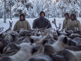 Checking the herd - Russia