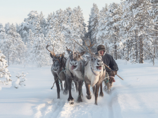 Jigori riding - Russia