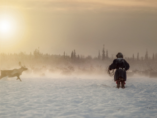 Reindeer hunter - Russia