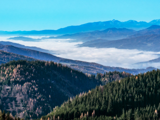 Fog over the Murz valley