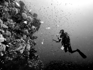 Man at work - Dahab