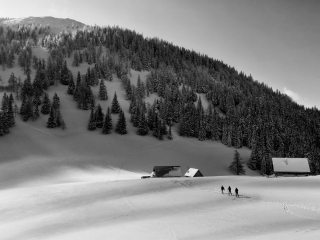 Winter landscape